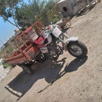 ستوته • موديل ١٤ • مكفولة