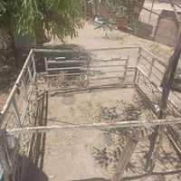 محجل • للبيع • يعوزه صبغ