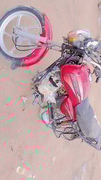 بوكسر • سلف • بدون اوراق