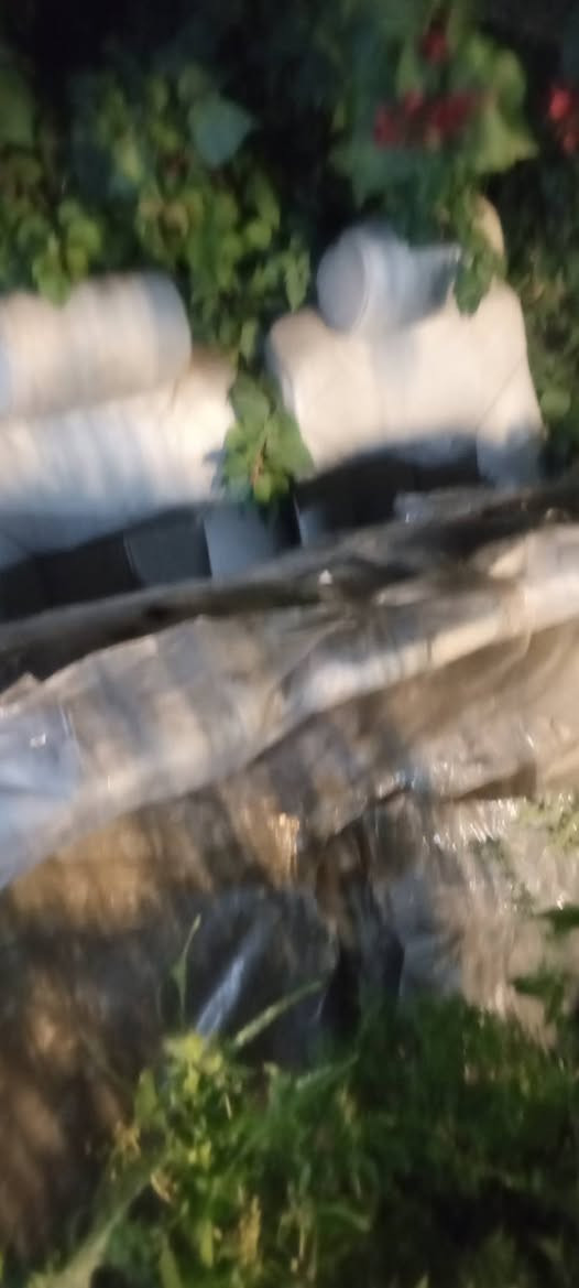 BAm
كشنات للبيع *********** السعر 150 الف
