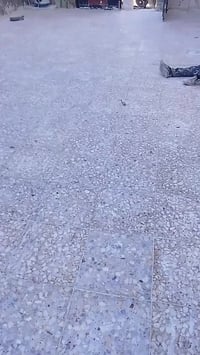 ابو مريم المصري خلف السيراميك مقيم في بغداد بورسلين وجدران وكاشي وعمر ...