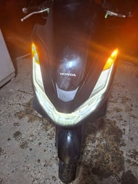 بس اكس جيل • بلا نقص • الكاظمية