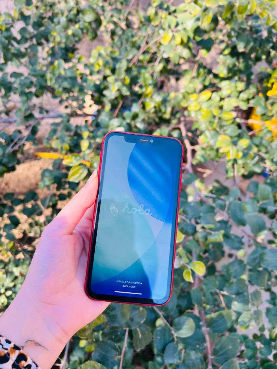 مكلف ب نشر  رجا
ايفون 11 عادي❤️
ذكره 128 🖤
مبدل شاشه اصليه تفصيخ 🫰🏻
نضافه فول 
مكفول وكله شغال 🫴🏻@
بطاريه 71 بلاديه 
فيس ايدي كامرات كله شغال ❄️
مكاني واسط كوت 
سعر 240 💸بي مجال كلش قليل 
شراي يتصل ***********
