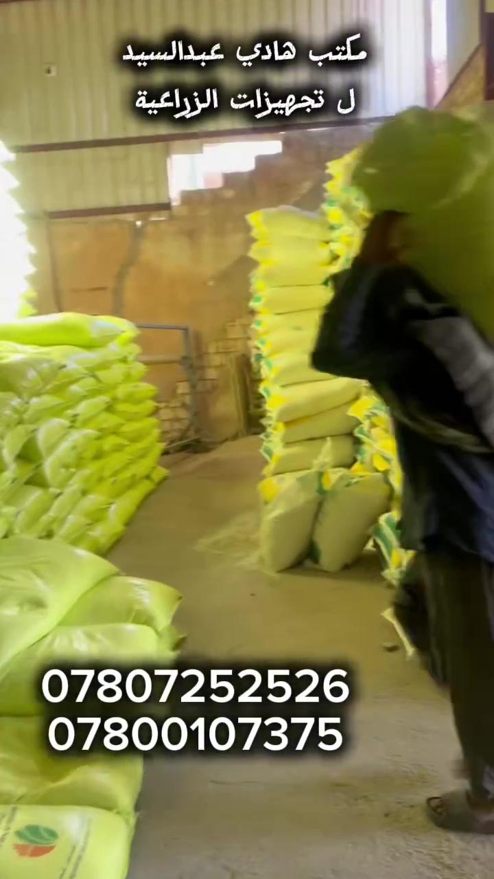 �🌾 إعلان هام للمزارعين 🌾🚜

وصلت الآن كمية من اليوريا العراقي (حبيبات) – درجة أولى وبأسعار مناسبة.

📍 متوفرة لدى: مكتب هادي عبدالسيد

العنوان:
📌 الفرع الأول: النجف – المشخاب – الفرع الأول – شارع سيد جعفر – قرب حسن الخزعلي القصاب.
📌 الفرع الثاني: النجف – المشخاب – قرب مصرف الرافدين.

📞 للحجز والاستفسار:
***********
***********
 #المحاصيل_الزراعية #عراق #جملة #مفردات #البذور #الزراعة #زراعة_محلية #مفرد
