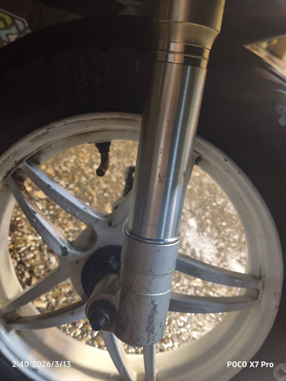 السلام عليكم
ماكس عدله للبيع مال لعب
 بوشه 56 دراجه صاروخ 
تحفر تبليط 
بيه تزويد خارجي 
صدر امامي
 دبل خلفي RGS
 قبق فلاوين
 قطره دهن
 شيال
 ملاقط
دراجه سوادات بلادي ملاح ختم واحد
 اضمن مكينه وين متريد افحص
 السعر 400وبيها مجال للطيبين

تواصل ***********

متواجد خاص
