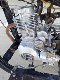 ستوته • 2018 • أوراق أصلية