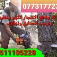 تنظيف حدايق اوتقليم الشجرة  👈.  07731772331 اسيا  07511105228 كورك...ط...