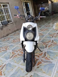 سكنس جبلي • صيني • بدل بطه