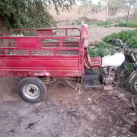 ستوتة جمرة • موديل 2015 • أوراق أصولية