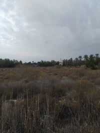 البصرة ابو الخصيب • طابو زراعي • ١١ دونم