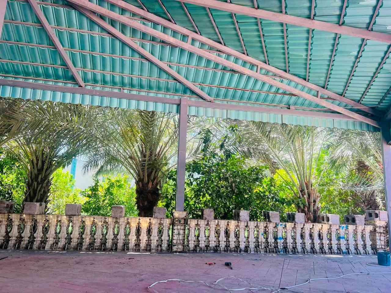 السلام عليكم
يتوفر غالب سياج حدائق وبلكونات و واجهات منازل 

سعر المتر 8 الدنكا 10

صب بالخباطه 

شرط شغل درجه أولى وتقان في العمل 

هـ***********
