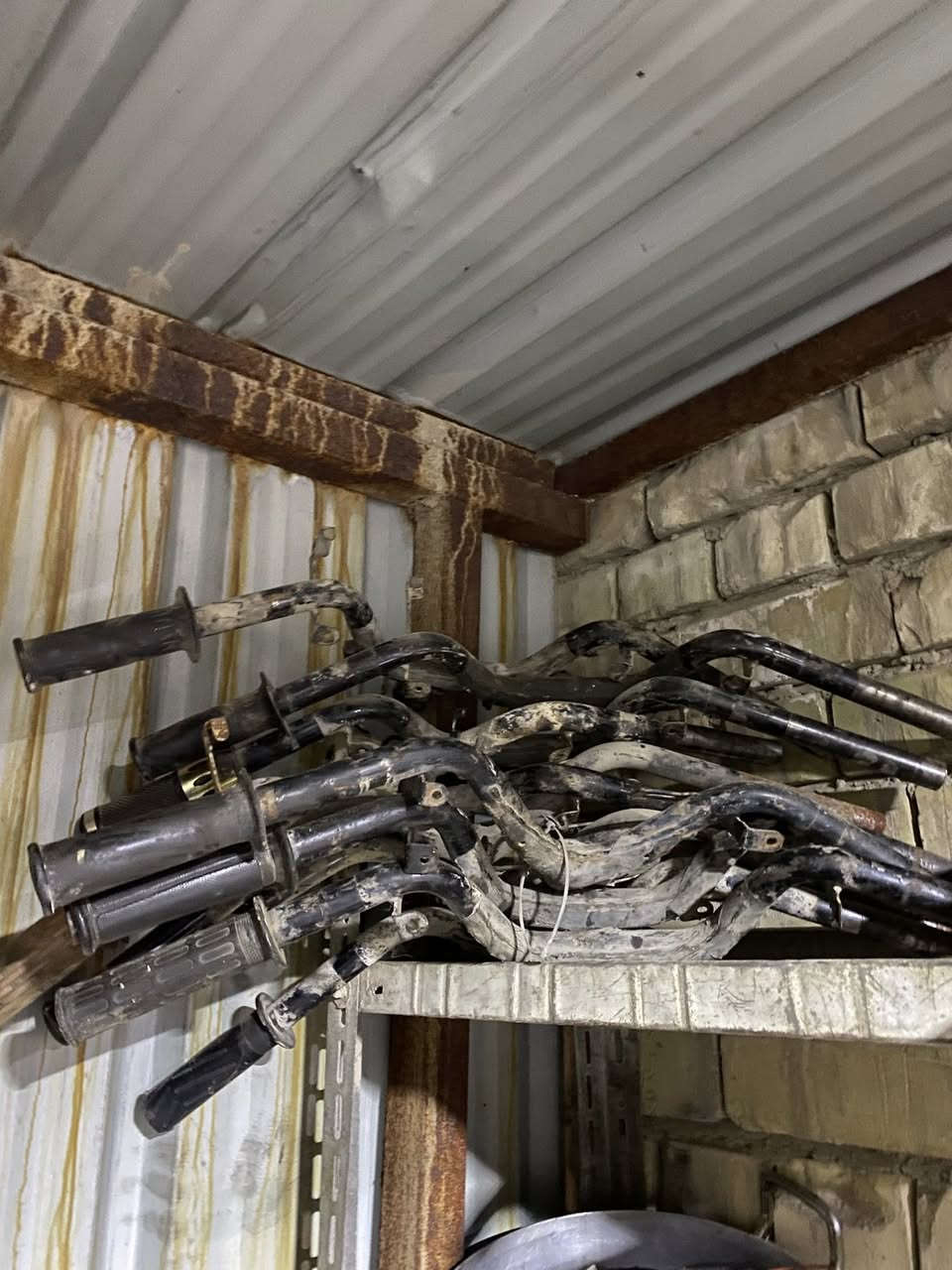 تفصيخ غراض بلاديه سكنس نثيه فحل نوزل كابريتر ثعلب جيتي ارر***********
