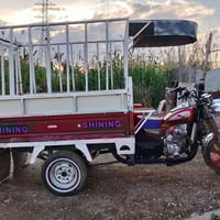 ستوته • ٢٠١٧ • شاصي شرط