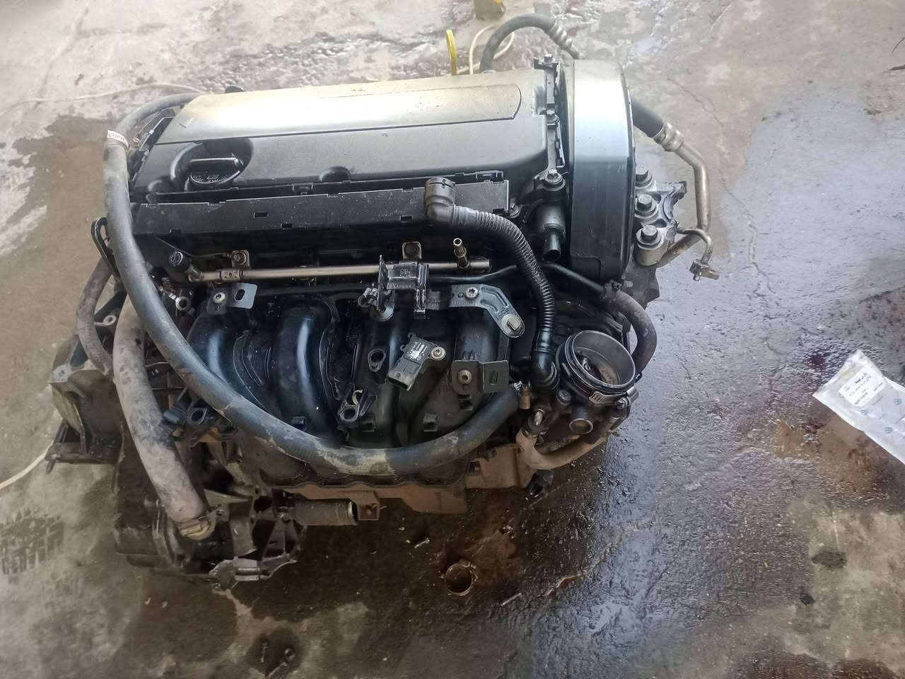 السلام عليكم ورحمه الله وبركاته 
تفصيخ راسم أبو محمد إيشي تحتاج موجود 
كير ومكينه مكفولات 
العنوان بغداد أبو غريب الزيتون 
سونك تصقيط اثر حادث إيشي تحتاج موجود 
***********
