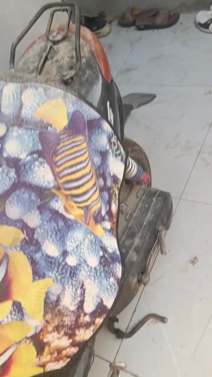 دراجه عصفوريه كوم حديد هيه تشتغل بس يرادلها تنضيف مابريتر كهرائيات واكفه سعر 200ومجال بسيط حك جيتك


**إذا كنت صاحب هذا الإعلان وتريد حذفه لأي سبب، رجاءا أرسل رسالة إلى الدعم الفني**