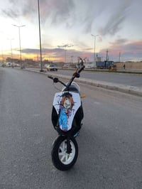 دراجة ماكس • مكينة 55 • ميسان مغربة