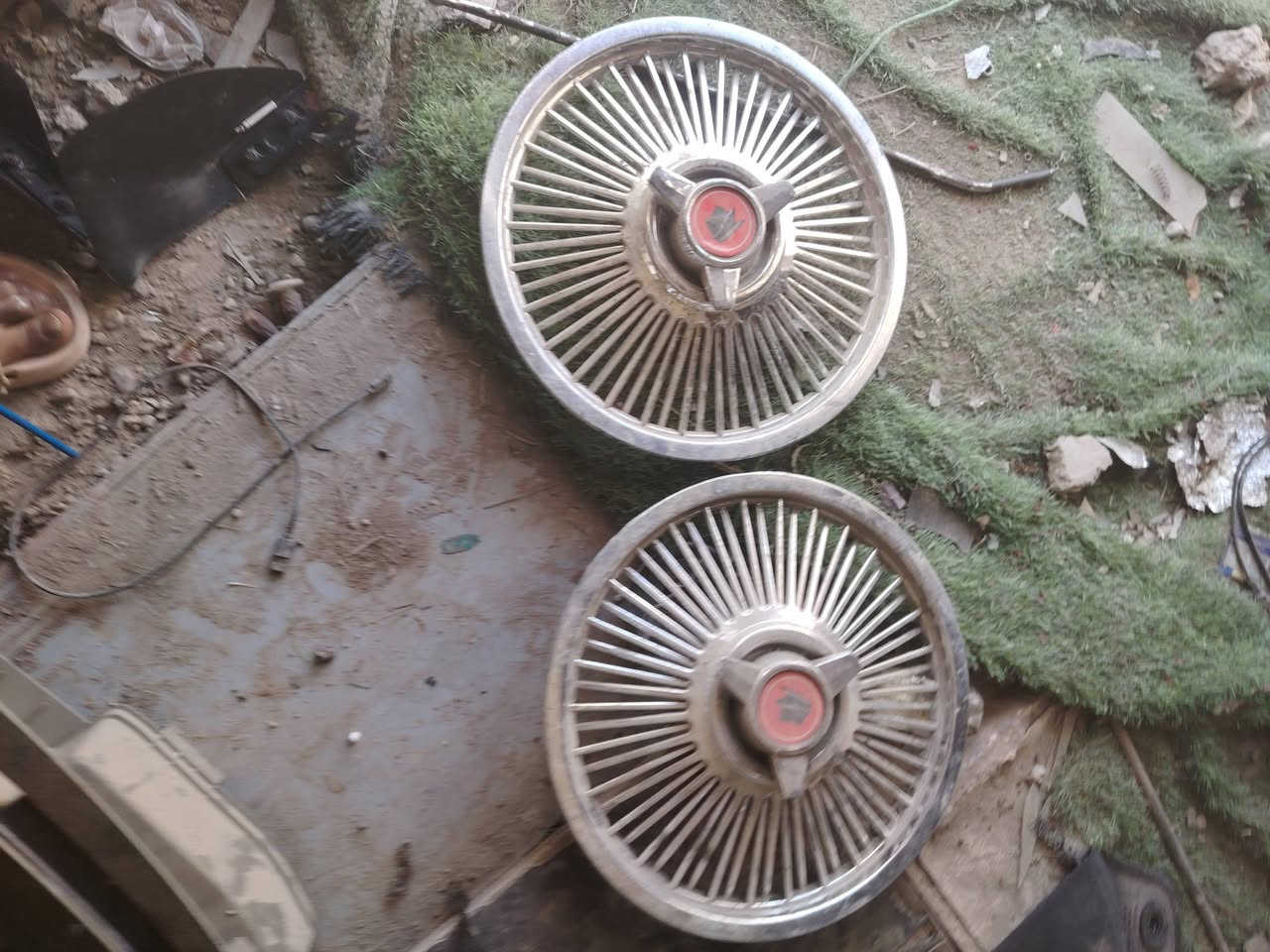 سلام عليكم مدير اكروب اني ترخص منك عدي هاي غراظ مال شري كوين مديل عشره مال تفصيخ ابيع الستفسار على رقم الهاتف او واساب مكاني كاظميه اجكوك ***********
