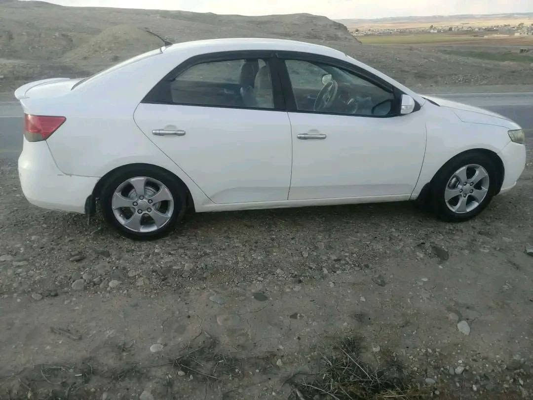 سيراتو ٢٠١١ بيها ٣ قطع صبغ رقم دهوك شرط التحويل سعر ٨٣ مكان السياره ناحيه زمار
الشراي يتصل على الأرقام التالي او مراسله الصفحه
*********** كورك
*********** زين

