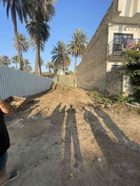 شاطئ التاجي • ١٨١م • واجهة ٨م