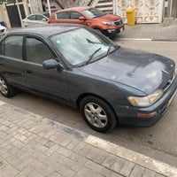 كورلا • ١٩٩٣ • البصرة القديمة