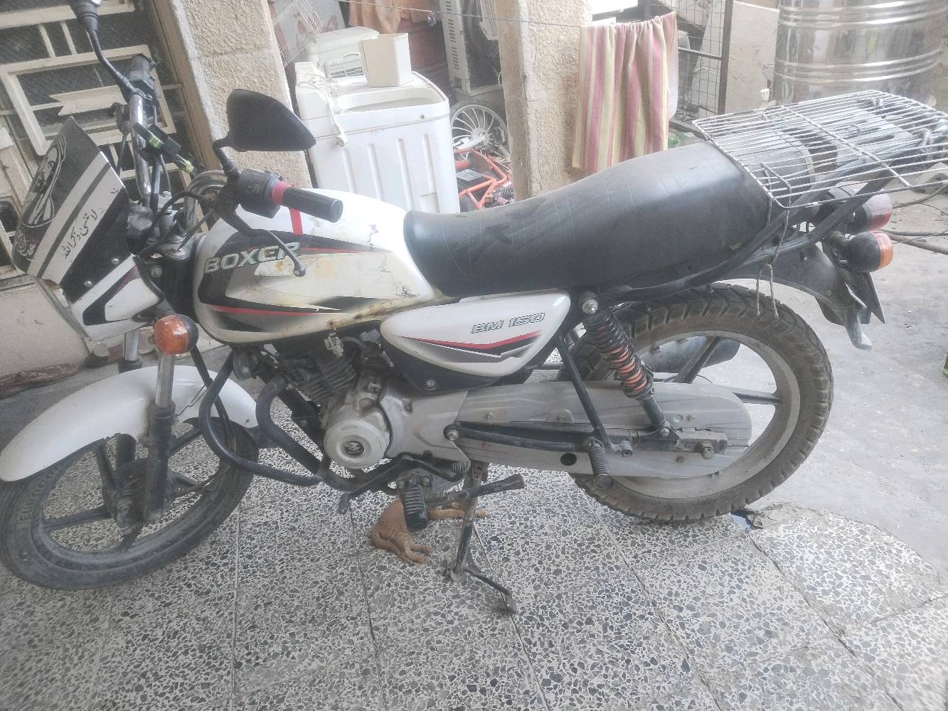 السلام عليكم بوكسر كلاسك موديل 23 رقم انكليزي بغداد تحويل ثاني يوم للبيع الاستفسارعلى الواتساب  السعر 1900/ ***********