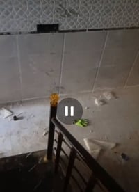 شارع عنيد • ٥٢م • طابو زراعي