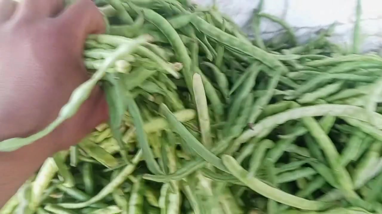 فرع الاول ان شاء الله شارع المستشفى مقابيل المدرسه مال شهيد يعرب الفرع الاول ان شاء الله مكاننا القديم


**إذا كنت صاحب هذا الإعلان وتريد حذفه لأي سبب، رجاءا أرسل رسالة إلى الدعم الفني**