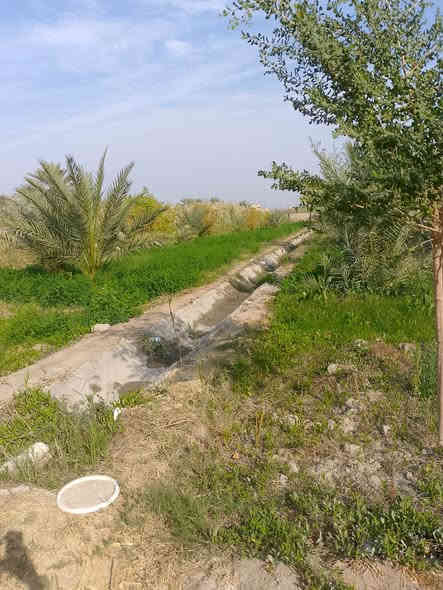 بستان طابو للبيع دونم   ونص مساحه 3712متر خدمات ماء كهرباء قريب  عليه التبليط مزروع كامل نخيل 22شويثي وبت  السوده وبريم من اجود الانواع سدر مطعم 14سدره تفاحي وعرموطي رمان 8تفاح 2تين 2 الشريف الرضي قريب  على شارع الرئيسي ‏‪***********‬‏
