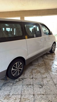 استاركس • ٢٠١٩ • رقم بغداد