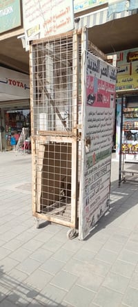 رمضان كريم عليكم. للبيع قفص متحرك مترين الارتفاع والعرض خمسة وسبعين  و...