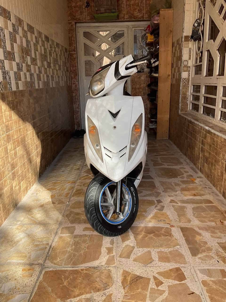الدراجه بلاديه حلوه وكهربائيات كله شغال شعله معدل تآكل الشارع مكينه حلوه  الداجه نكره بكل وقت  السعر 750وبيه مجال حك الجيه العنوان المدينه الصدر 
رقمي
***********
