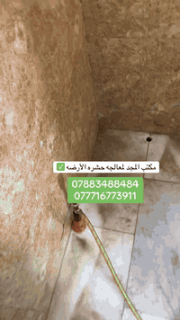 07883488484. واتساب+أتصال 077716773911. أتصال 📌أعراض اصابه الاخشاب بال...