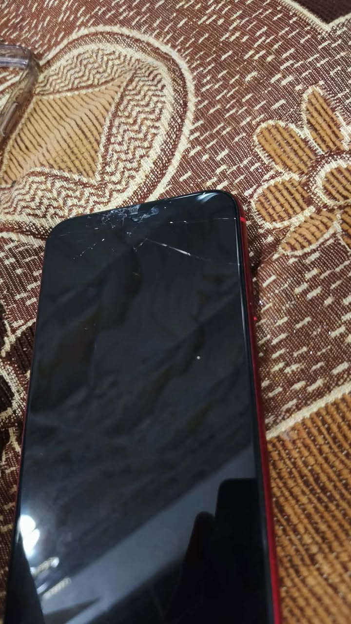 السلام عليكم

iPhone11 عادي

ذاكرة (128)
تك سيم
لون احمر
جهازي نضيف فول
مبدل شاشه اصليه ٣ خيارات وبي كسر ماماثر شرط
مبدل بطاريه ١٠٠ شرط فول بل شحن تدعيلي
كامرات حلوة
فيس ايدي شغال 
هزازات صوت بور كله شغال شرط
جهاز نضيف مال بيت
انطيني سعر عجبني ابعيلك او مراوس يرهم حسب


**إذا كنت صاحب هذا الإعلان وتريد حذفه لأي سبب، رجاءا أرسل رسالة إلى الدعم الفني**