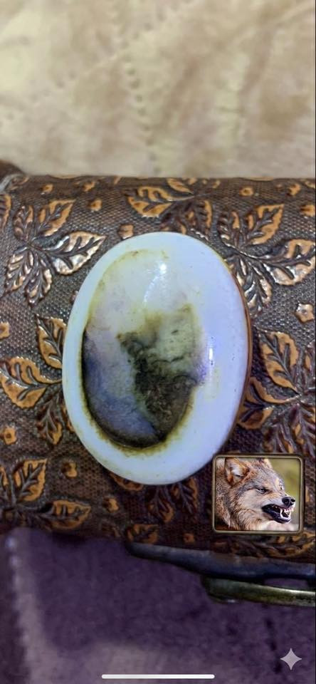 سلام عليكم سليماني مصور راس ذئب واضح حتى الانياب واضحة للبيع قطعة نادرة


**إذا كنت صاحب هذا الإعلان وتريد حذفه لأي سبب، رجاءا أرسل رسالة إلى الدعم الفني**