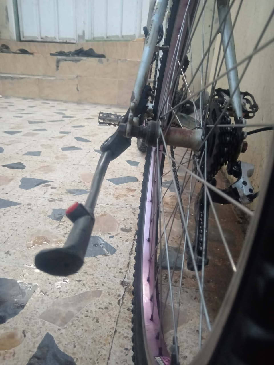 سلام عليكم بايسكل برجستون باب اول للبيع حجم 26
وياله اصليه بدون عواج مال شركه كيرين صطابين
قعاديه اصليه كلشي اصلي تايرات شركه
سعر70 وبي مجال قليل الشراي يجي خاص


**إذا كنت صاحب هذا الإعلان وتريد حذفه لأي سبب، رجاءا أرسل رسالة إلى الدعم الفني**