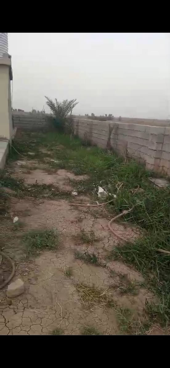 السلام عليكم عندي بيت مساحة 700m مساحة البناء فقط200 في ناحية السلام يرهم مزرعة يرهم بيت للسكن نوع العقار بلدية يبعد عن الشارع العام دقيقتين مشي خدامات موجودة ماء كهرباء مزروع نخل وحمضيات بالحديقة البيت طابق واحد السقف ساندويتش للتواصل *********** السعر25مليون وبي مجال مستعجل اريد ابيعه البيت جداً جميل
