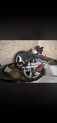 سكنس • فحل • غراض