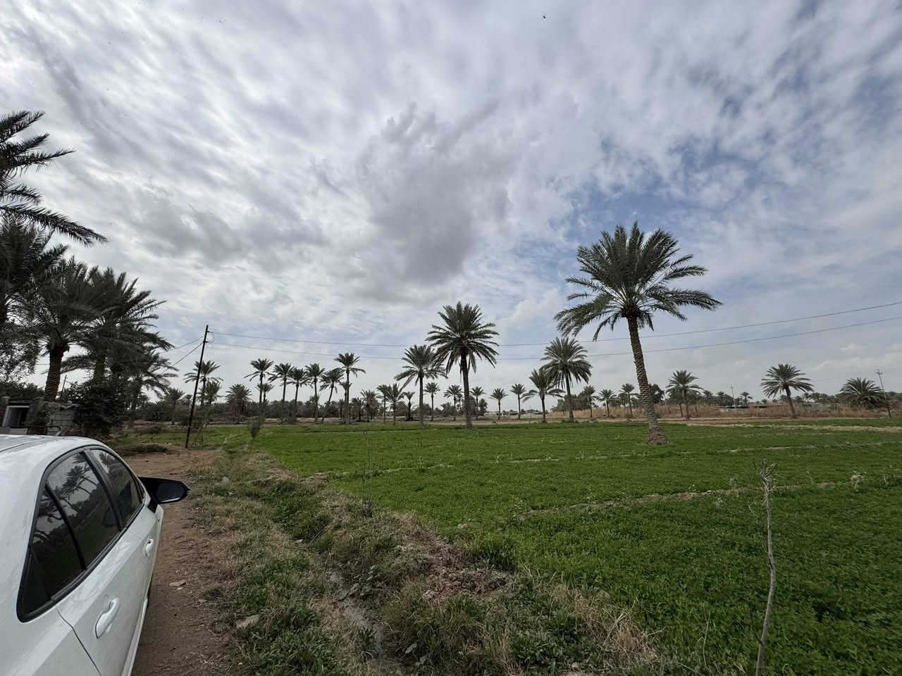 ض دونم ونص طابو زراعي،  سند 25 تصلح مزرعة ناجحة 🌾
ومثالية للسكن الهادئ، كاملة الخدمات وقابلة للإعمار.
استثمر بمكان يجمع الخير والراحة ✔️
الموقع بابل شارع حلة بغداد المشروع قرب قاعة مناسبات القمة 

مكتب مهدي سمير 
***********
