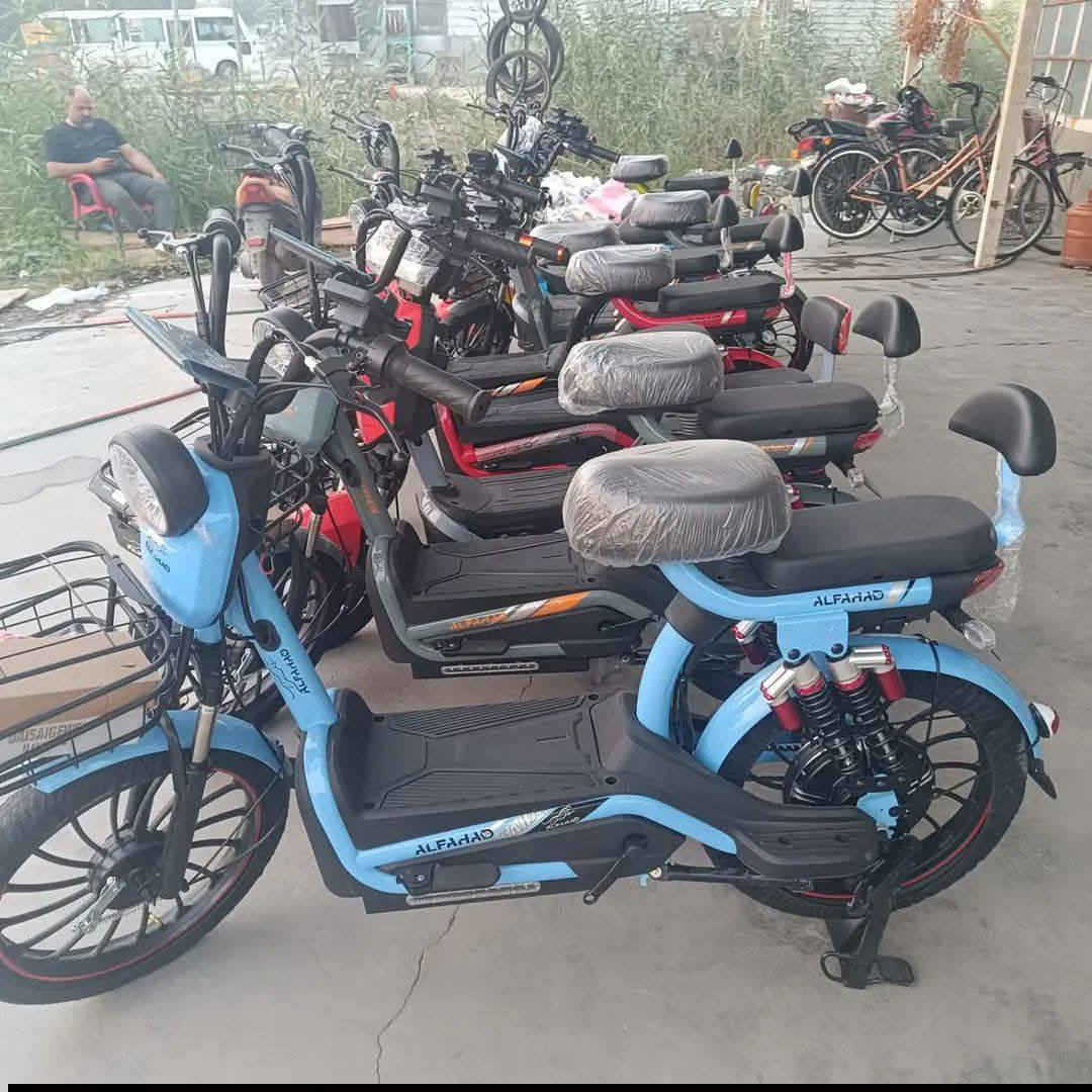 بابل سدة الهندية 
البيع جملة مفرد 
***********
