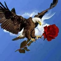 قطعه للبيع التحريرالحولي ج اول اميري مقابيل مولدة جلال على شارع تبليط ...