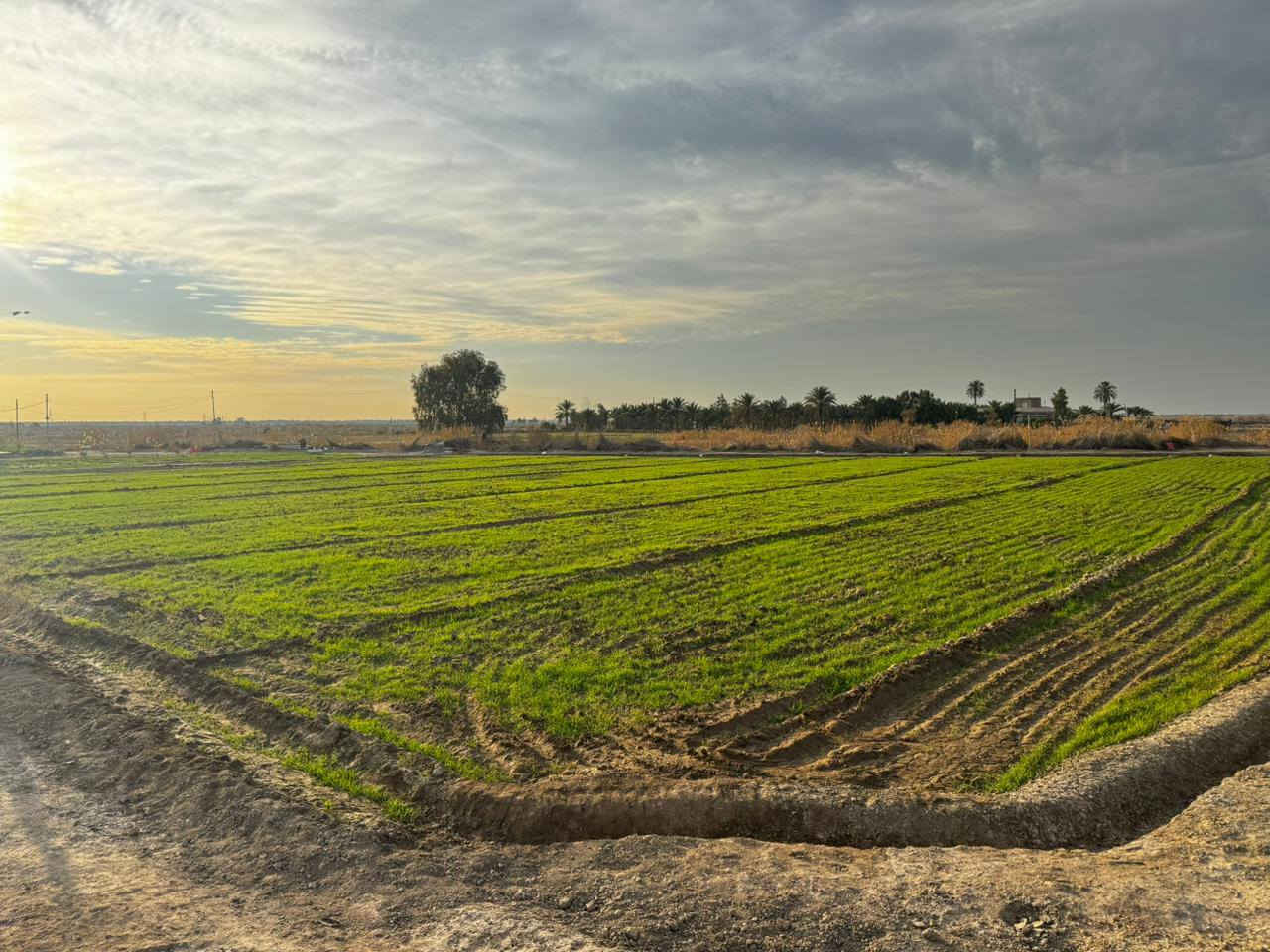 #للبيع
السلام عليكم 
ارض زراعيه مع دار سكن حديث 2025
المساحه الكليه /دونمين ونص 6250متر
الموقع/بابل -محاويل - ناحيه الامام -قريه المرجانيه 
للاستفسار اكثر ***********
***********
ثائر ابو حسين
