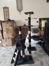 بيت حيوانات • قطط • طيور
