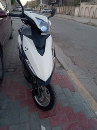 ماكس مضلع • ٢٠٢١ • أوراق كامله