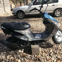 ماكس منغولي • أوراق كاملة • قلعة صالح