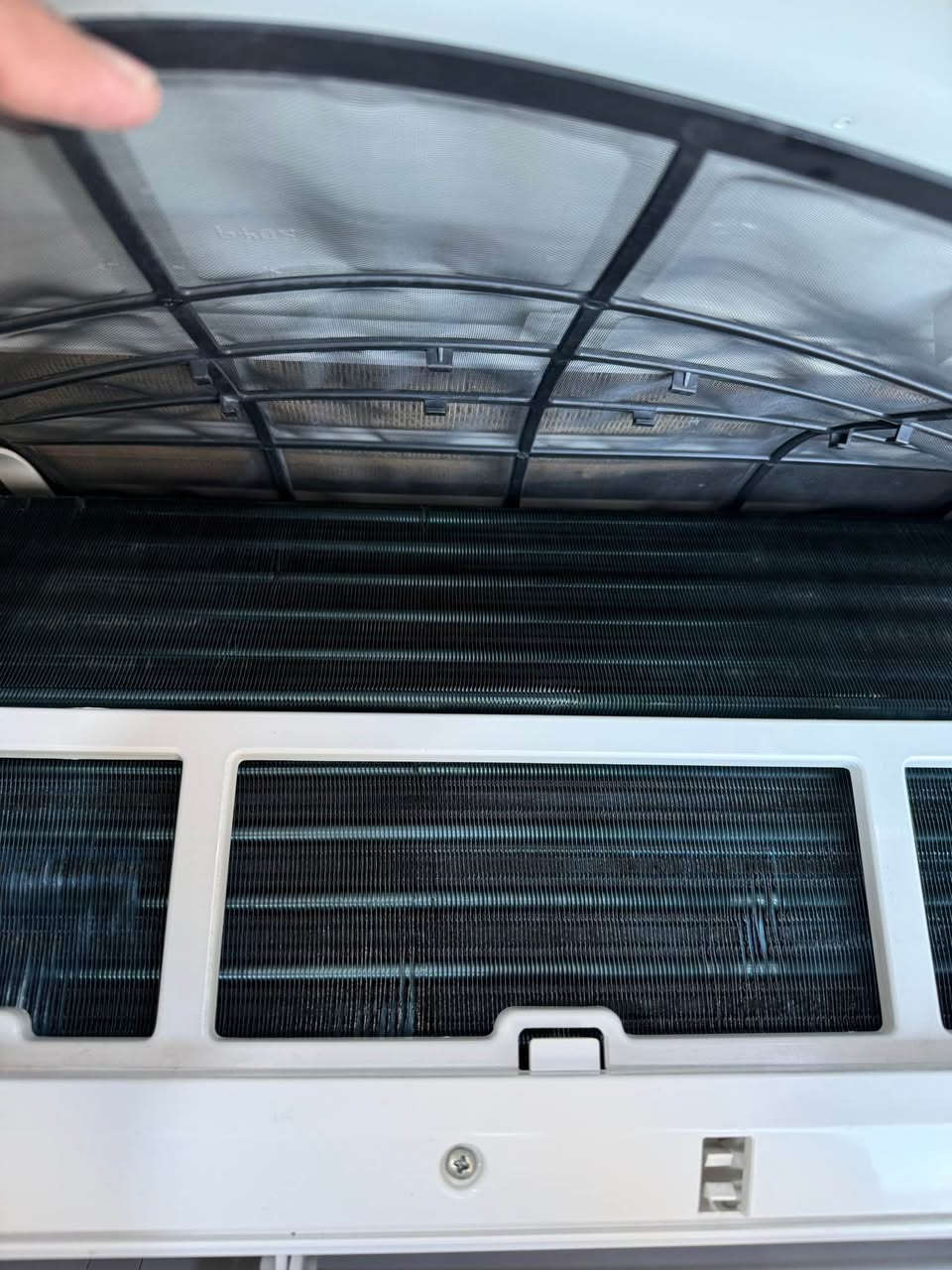 سبلت الوارث طنين شرط الشغل والضمان كامل ملحقاته سعر ٤٥٠ ناصريه مركز ناصرية, ذي قار


**إذا كنت صاحب هذا الإعلان وتريد حذفه لأي سبب، رجاءا أرسل رسالة إلى الدعم الفني**