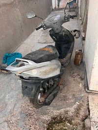 ماكس ثعلب • طفت • كوم حديد