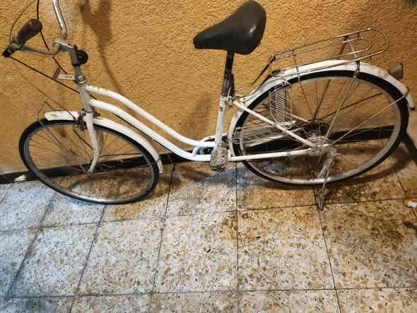 السلام عليكم اخوان بايسكل للبيع سياحي الاصلي شرط الاصلي نضيف حجم 27كامل امكمل بريك كدام شغال ابريك وره شغال بداله شغاله بس يرادلها تقسيم الكشن طبي نضيف مديل
مكاني بصره صبخة العرب 
سعره 65قفل قفل قفل
رقم ***********
