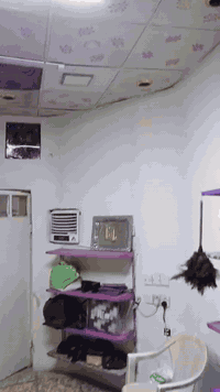 ياالله درون بشكل جديد وشغال عله وال تم 30بل عافيه


**إذا كنت صاحب هذا الإعلان وتريد حذفه لأي سبب، رجاءا أرسل رسالة إلى الدعم الفني**