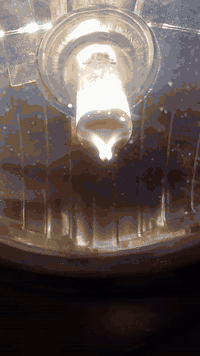 21 شهر 11 يوم 25  تحويل ثاني يوم  سعر 7 ونص قفل قفل  07703420058 مكانه...