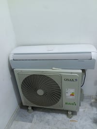 سبلت • ٢ طن • موسم واحد